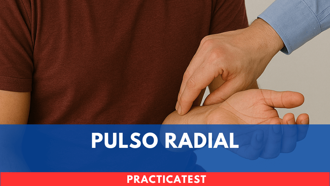 Pulso Radial
